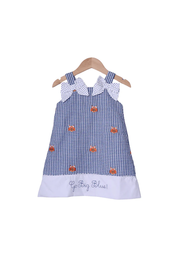 Embroidered Go Big Blue Gingham  Dress