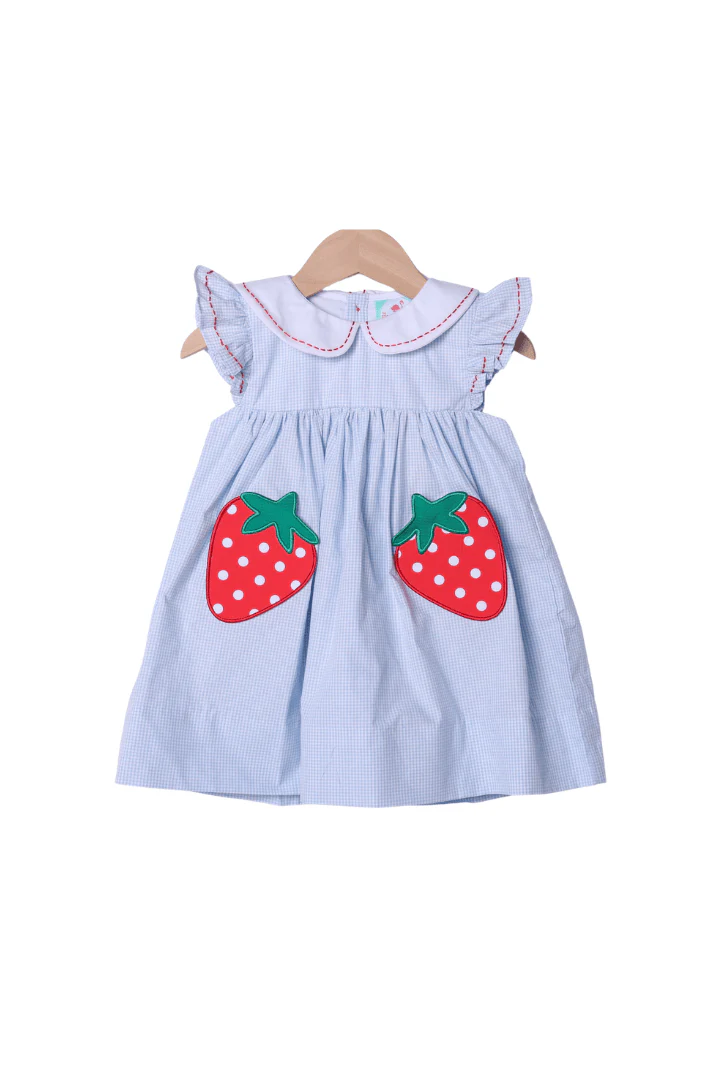 Strawberry Patch Blue Gingham Dress - Image 2