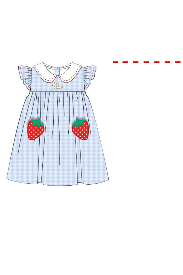Strawberry Patch Blue Gingham Dress - Image 3