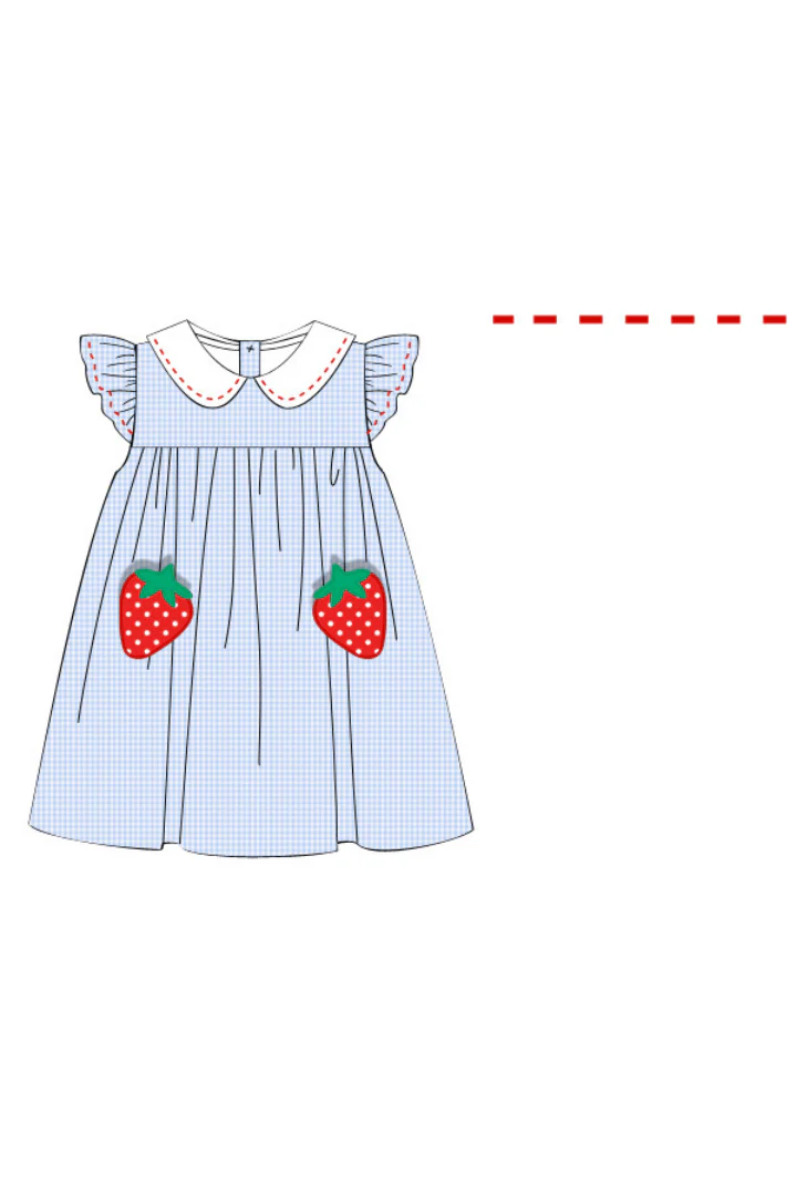 Strawberry Patch Blue Gingham Dress - Image 4